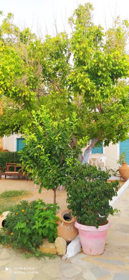 Socrates Sea View Apartment Kampos Marathokampou Exterior foto